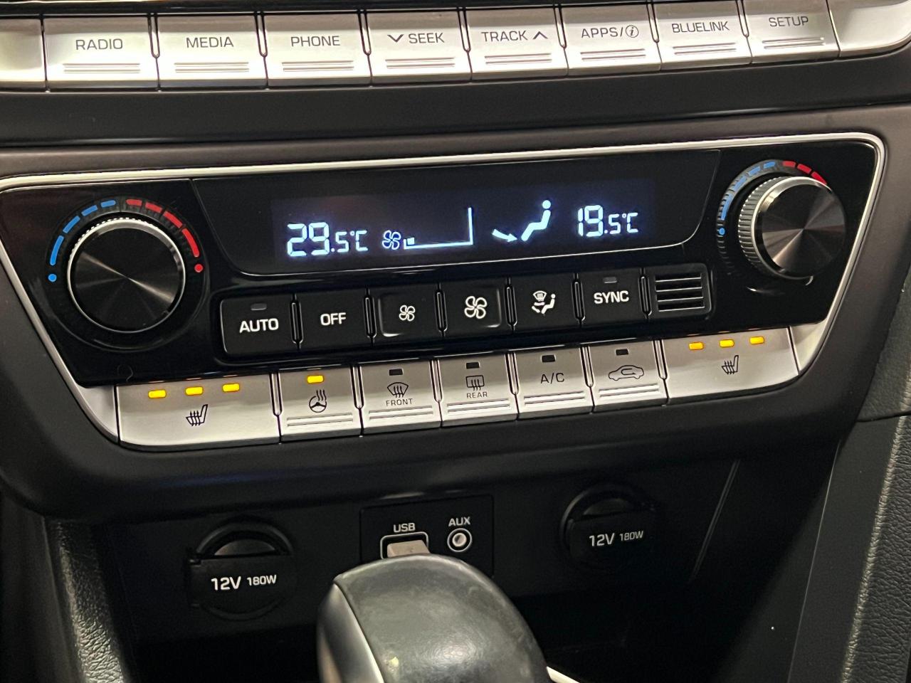 2019 Hyundai Sonata Preferred+Leather+Roof+Bluelink+CLEAN CARFAX Photo100