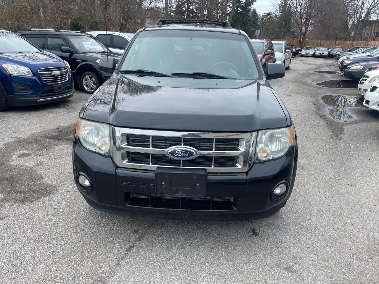 Used 2010 Ford Escape XLT for sale in Scarborough, ON