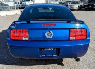 2006 Ford Mustang Low Km, 2 Dr Coupe, Leather, 5MT - Photo #6