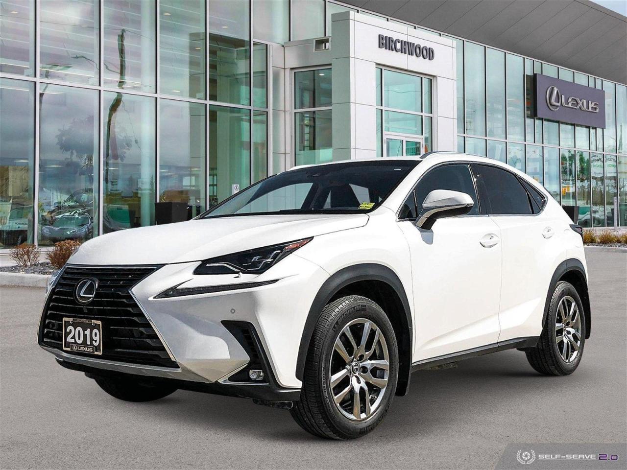 Used 2019 Lexus NX 300 Luxury Heated Seats | Back Up Cam | BLIS for sale in Winnipeg, MB