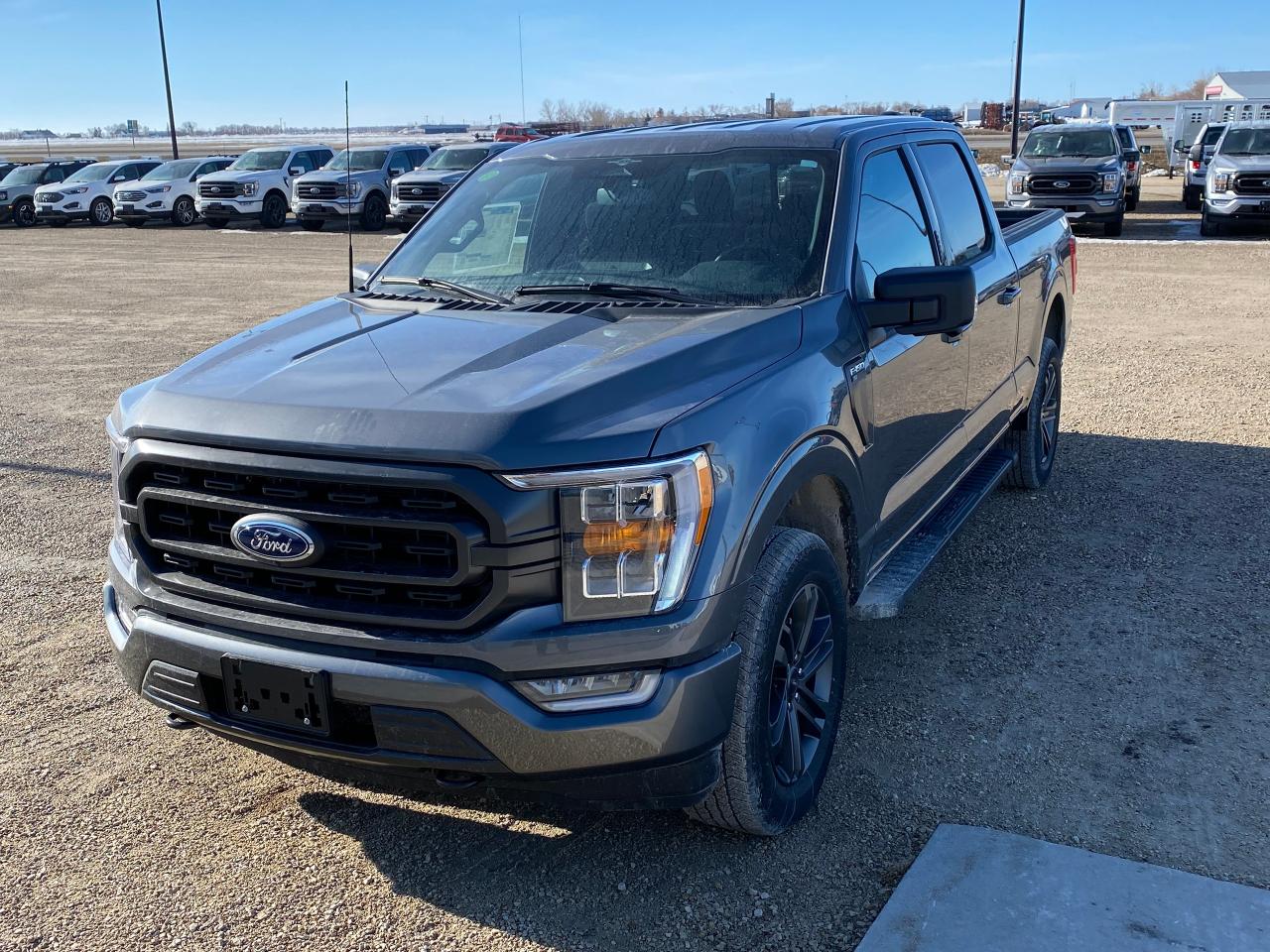 New 2023 Ford F-150 XLT 4WD SUPERCREW 6.5' BOX for sale in Elie, MB