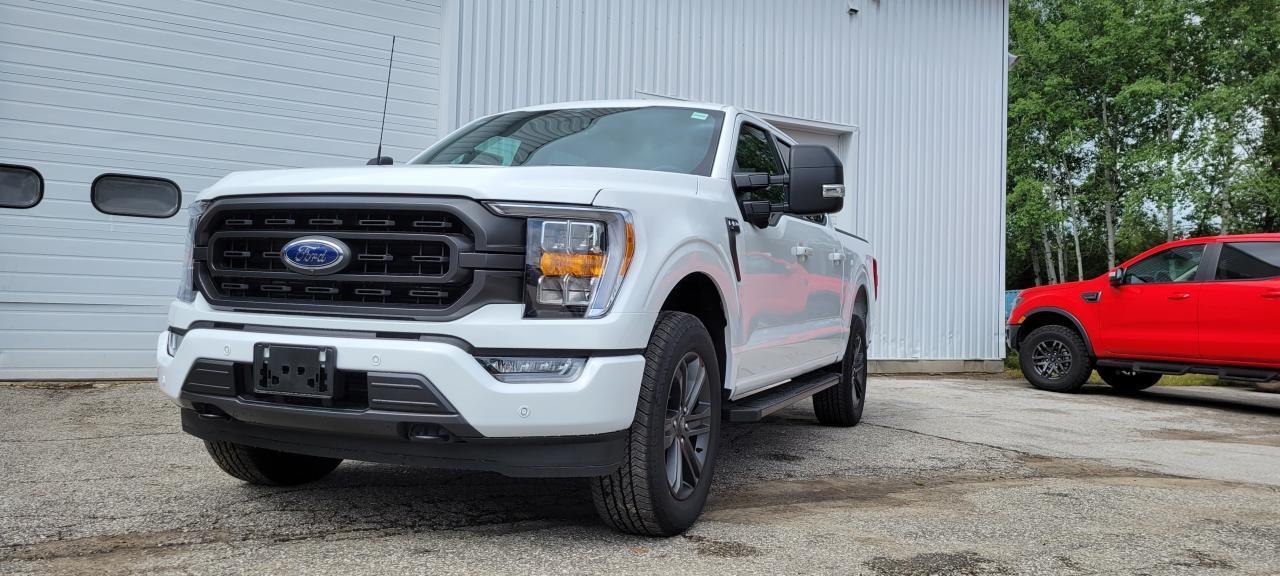 New 2023 Ford F-150 XLT for sale in Huntsville, ON