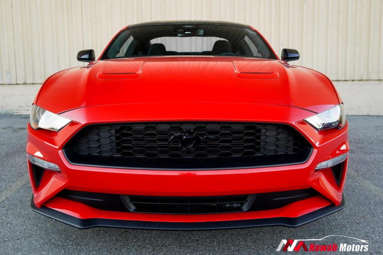 2022 Ford Mustang ECOBOOST FASTBACK|HEATED SEATS|APPLE CARPLAY|ALLOYS| Photo