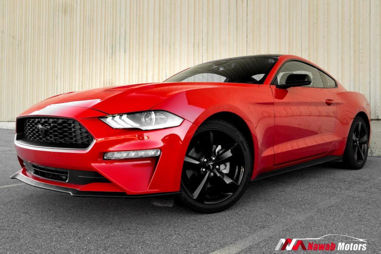 2022 Ford Mustang ECOBOOST FASTBACK|HEATED SEATS|APPLE CARPLAY|ALLOYS| Photo2