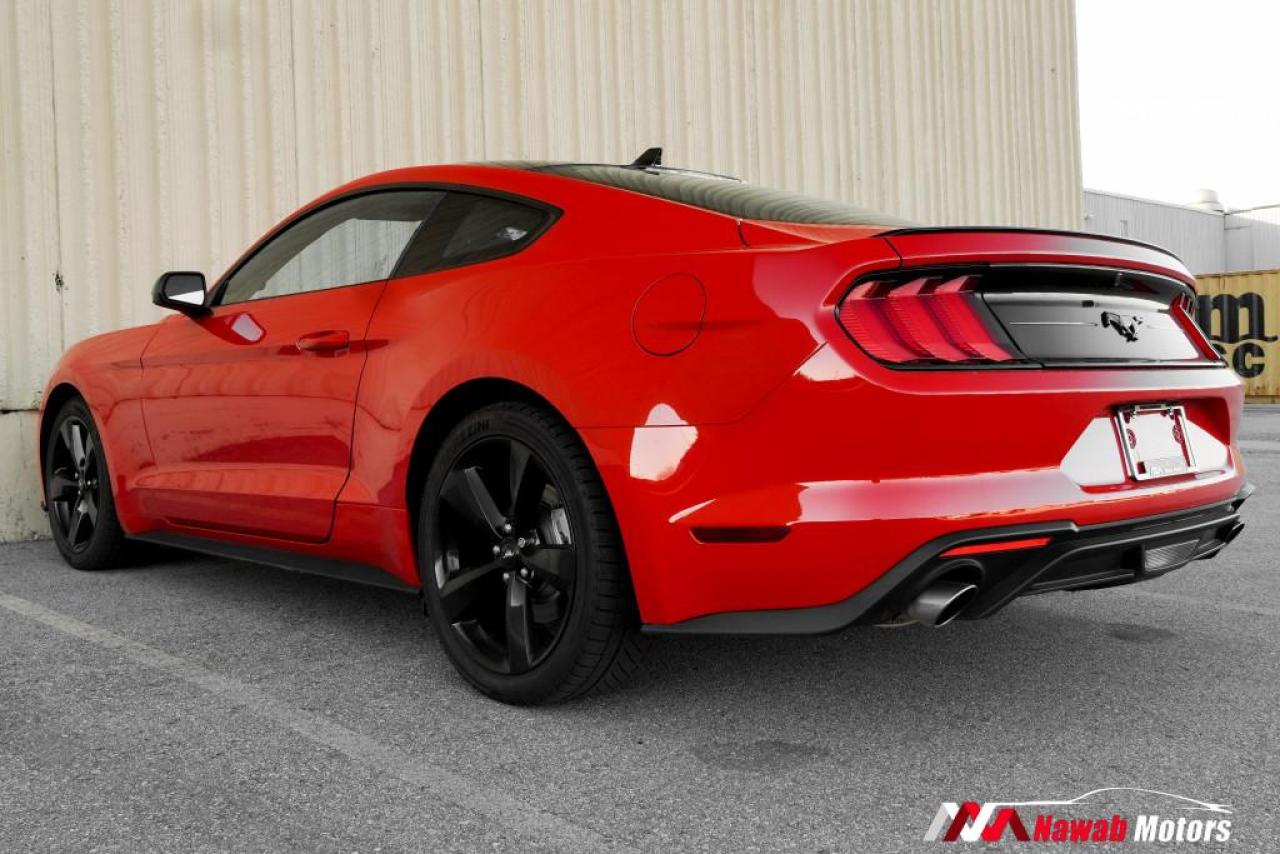 2022 Ford Mustang ECOBOOST FASTBACK|HEATED SEATS|APPLE CARPLAY|ALLOYS| Photo