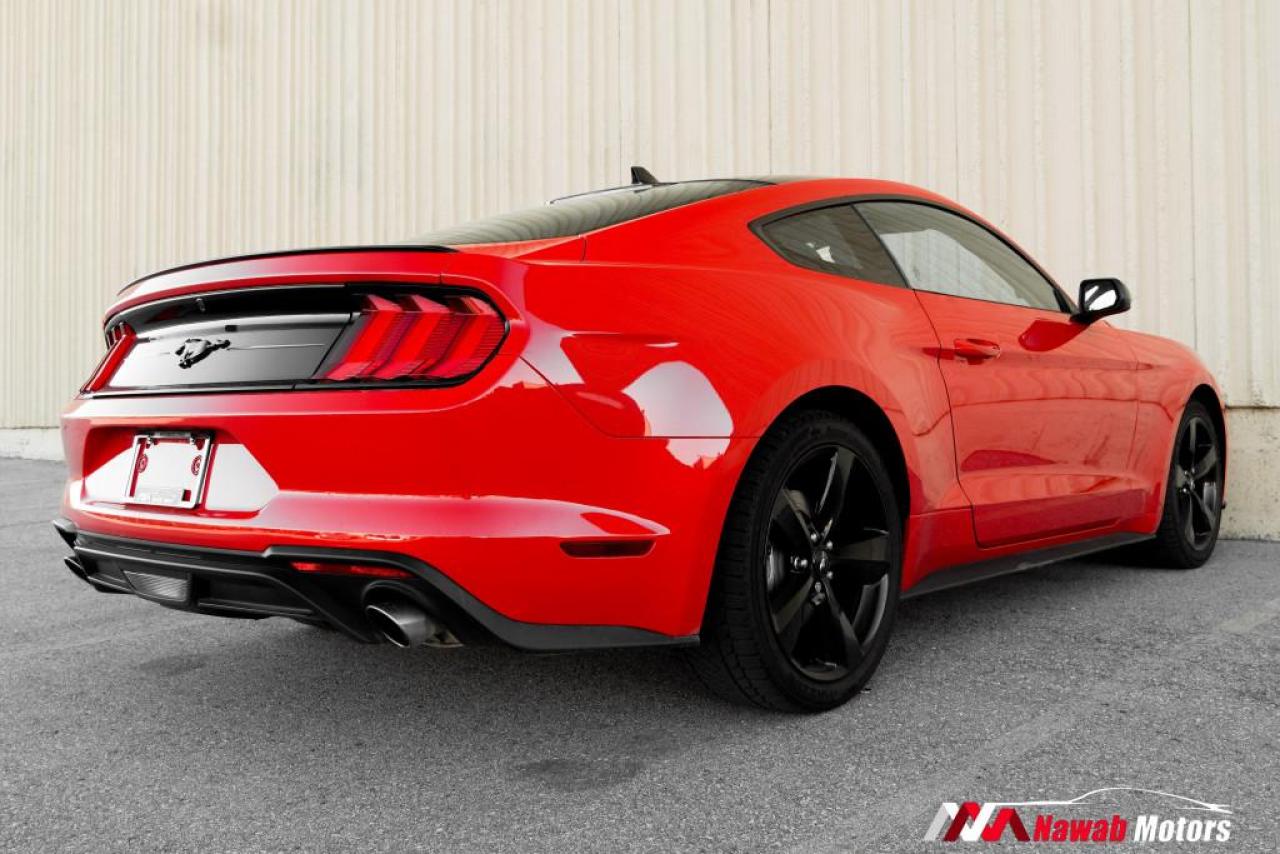 2022 Ford Mustang ECOBOOST FASTBACK|HEATED SEATS|APPLE CARPLAY|ALLOYS| Photo