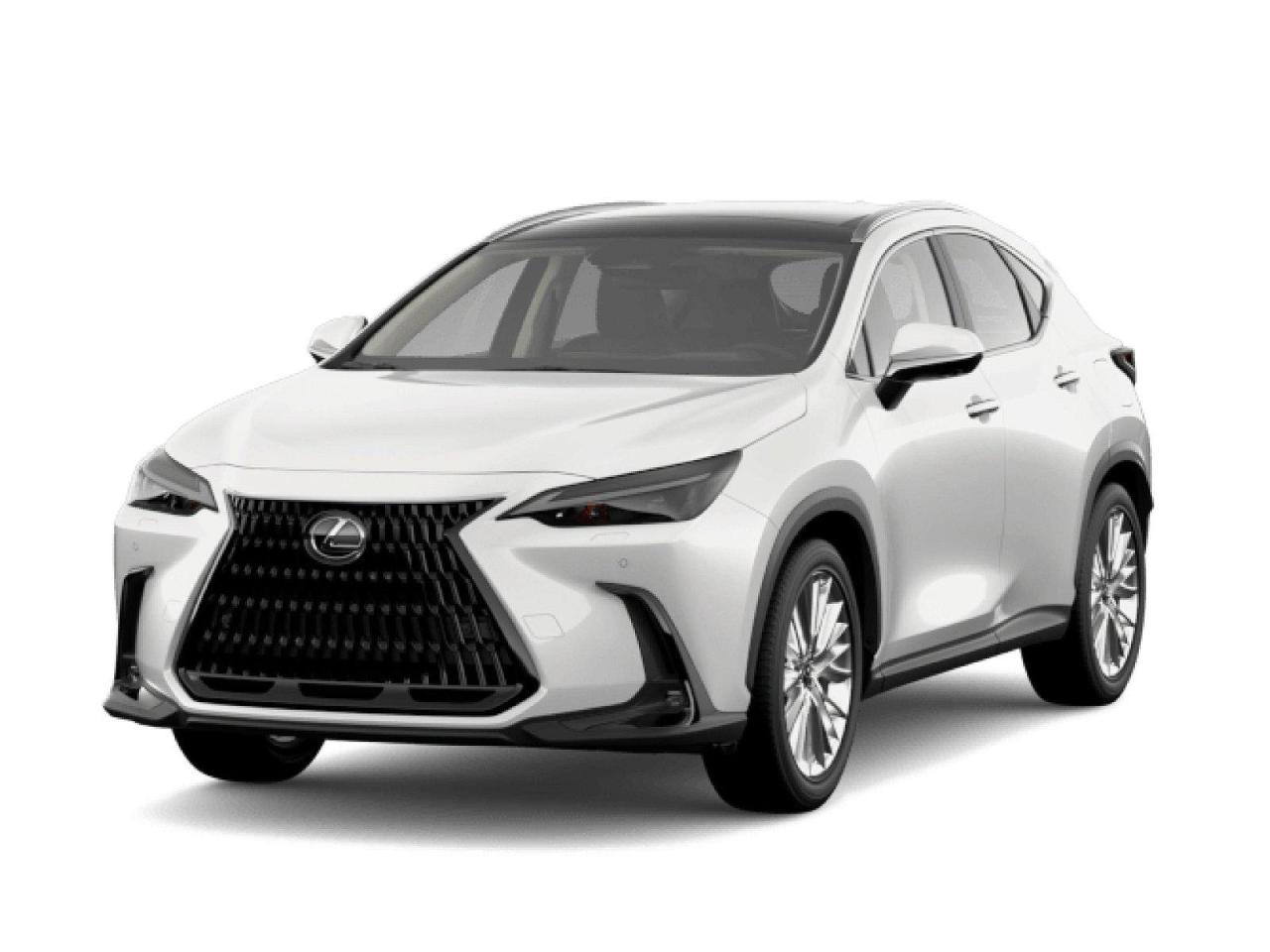 New 2024 Lexus NX 350 Luxury FACTORY ORDER - Custom for sale in Winnipeg, MB