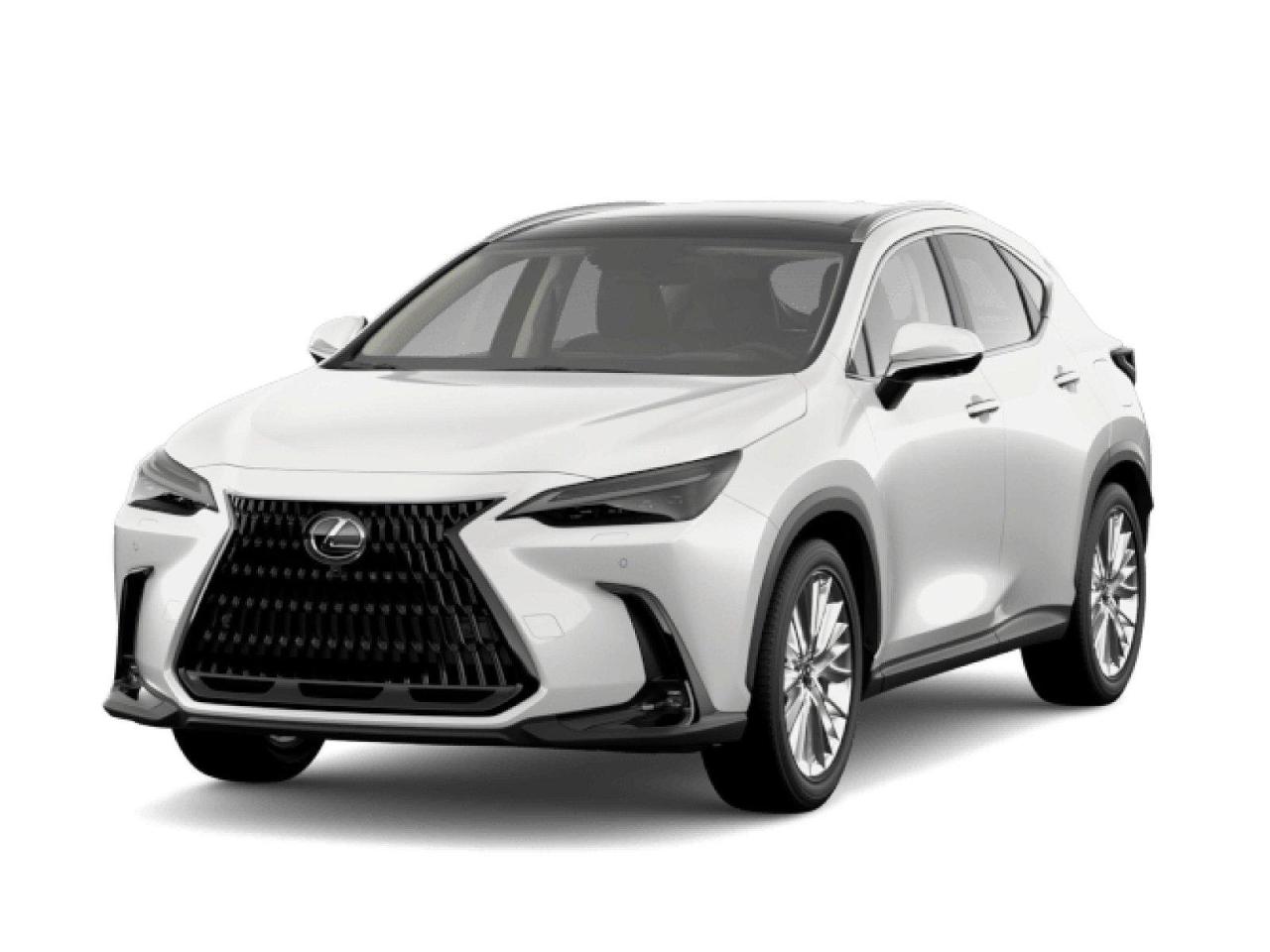 New 2024 Lexus NX 350h Executive FACTORY ORDER - Custom for sale in Winnipeg, MB