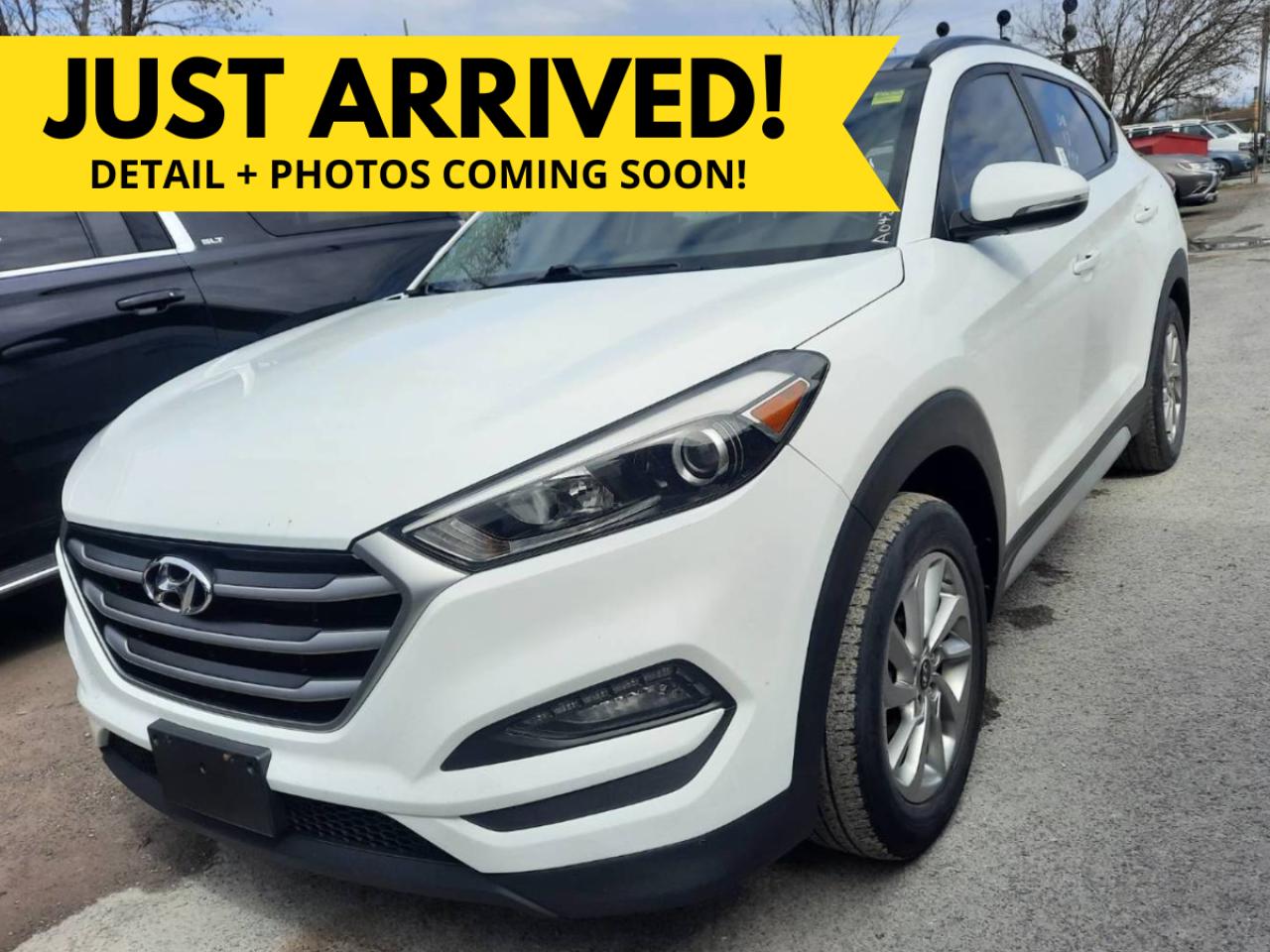 2017 Hyundai Tucson SE AWD / Leather / Panoramic Sunroof - Photo #1