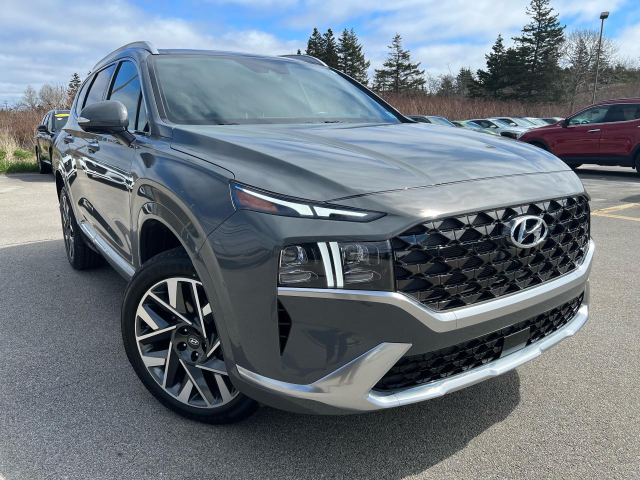 2022 Hyundai Santa Fe Calligraphy Photo1