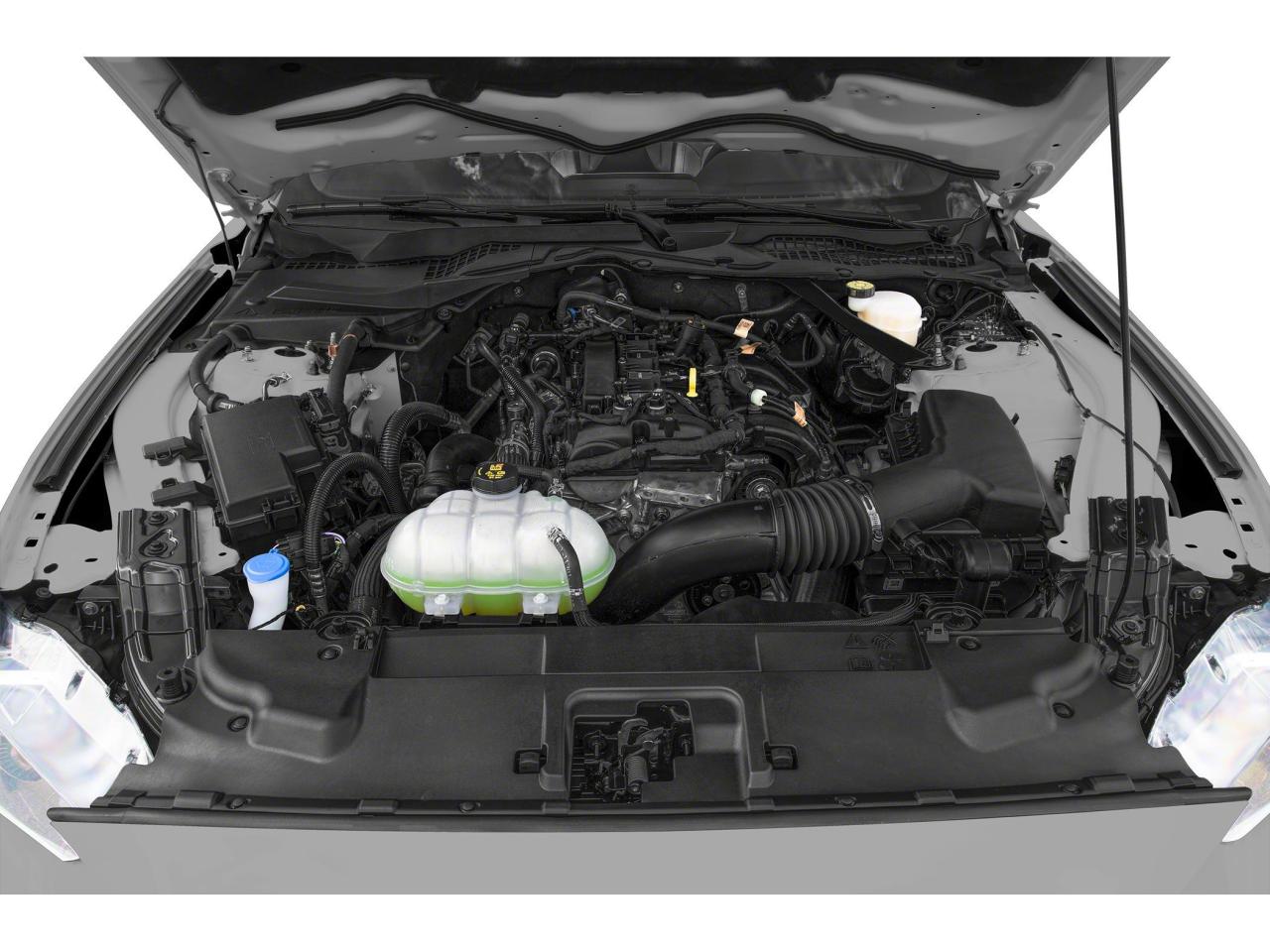 2023 Ford Mustang EcoBoost Premium Photo