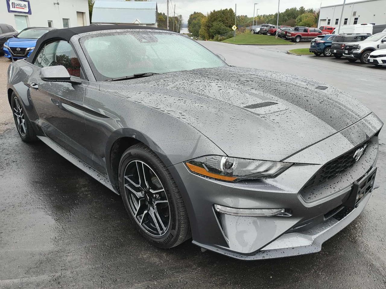 2023 Ford Mustang EcoBoost Premium Photo4
