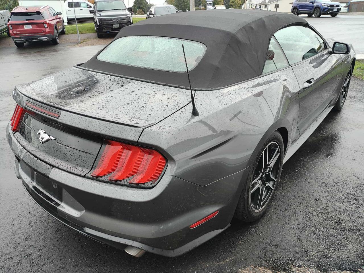 2023 Ford Mustang EcoBoost Premium Photo