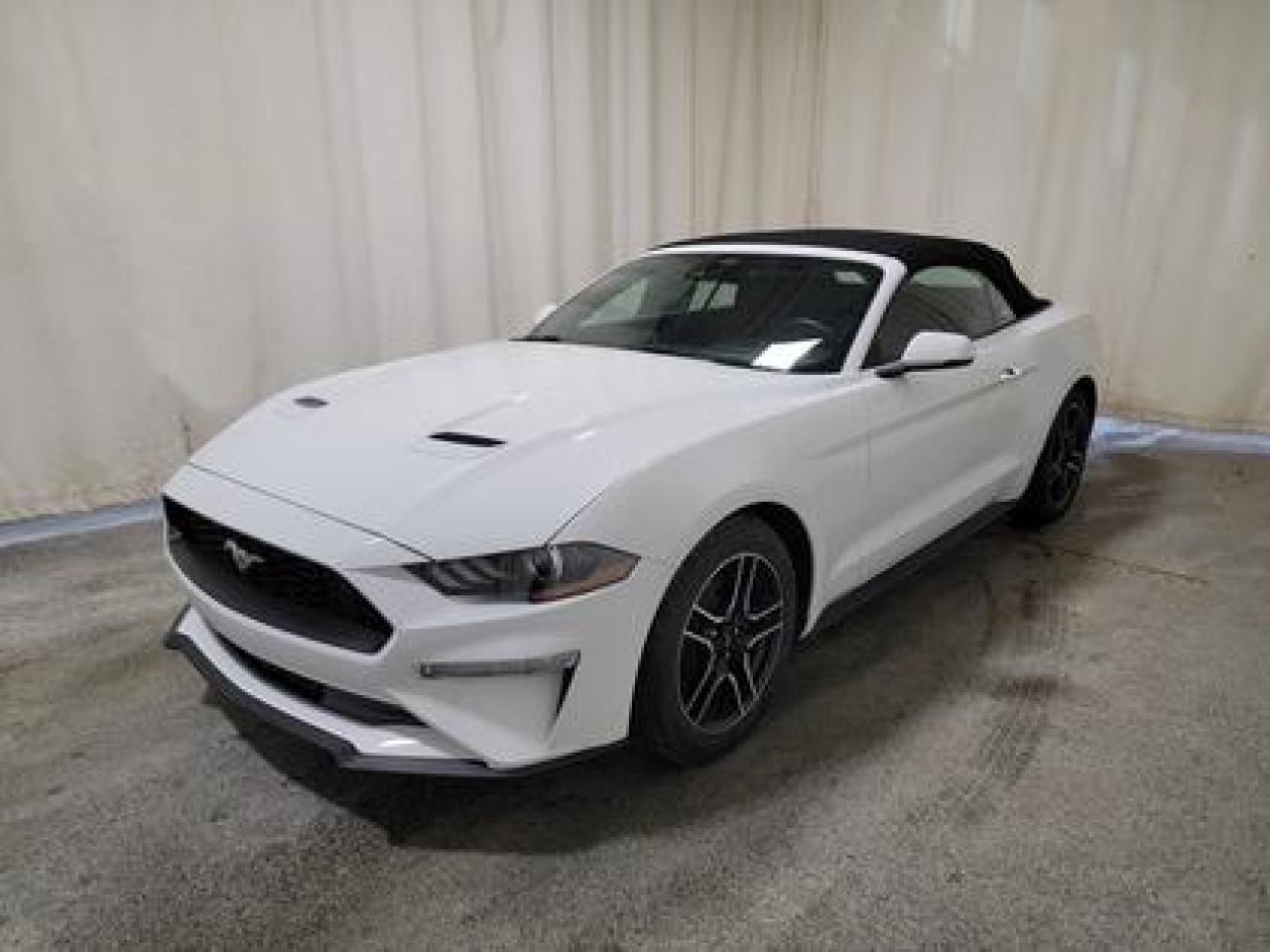 New 2023 Ford Mustang EcoBoost Premium for sale in Regina, SK