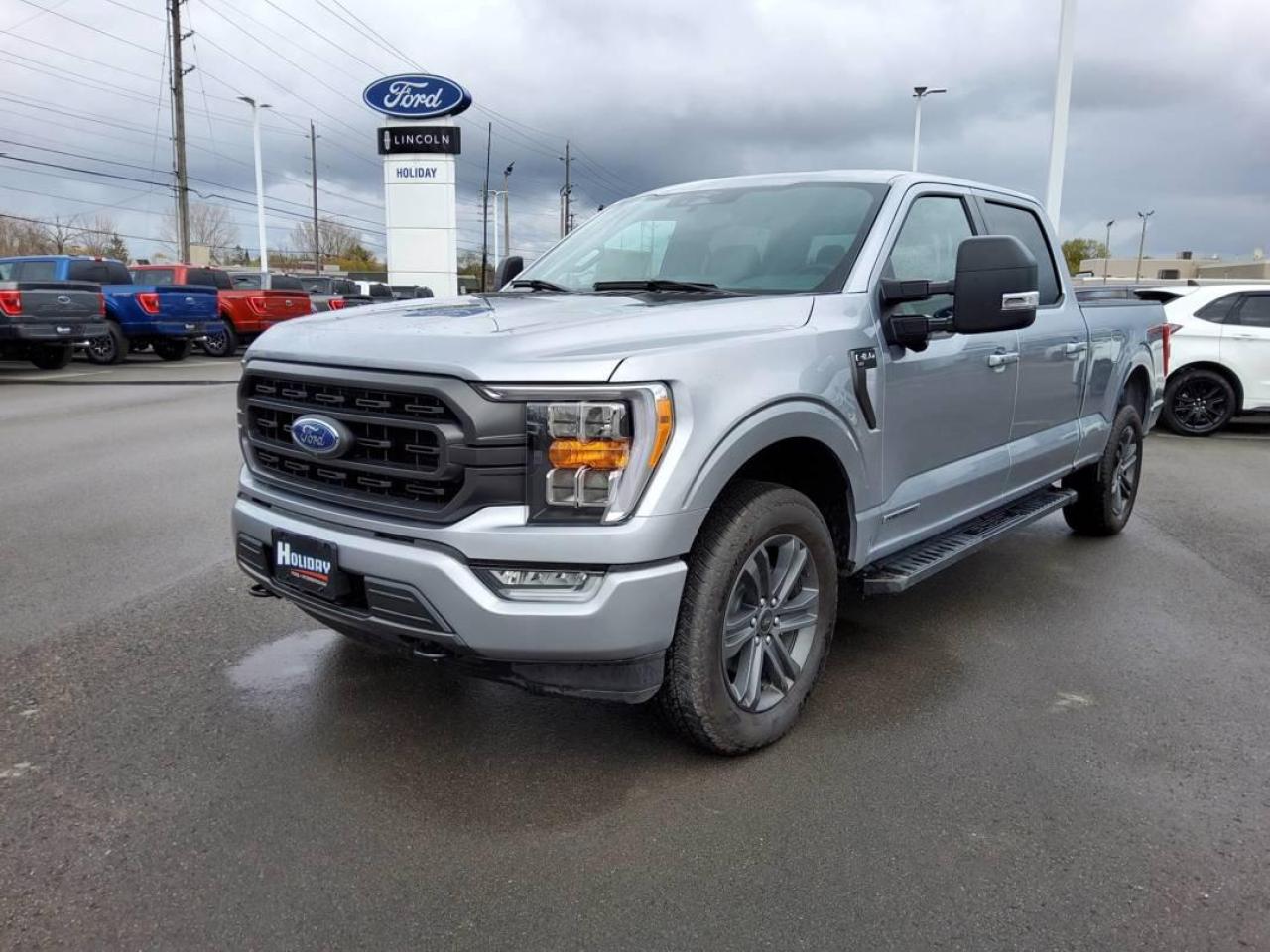 New 2023 Ford F-150 XLT for sale in Peterborough, ON
