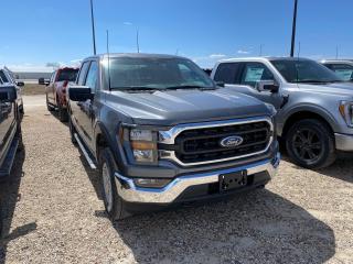 New 2023 Ford F-150 XLT 4WD SUPERCREW 6.5' BOX for sale in Elie, MB