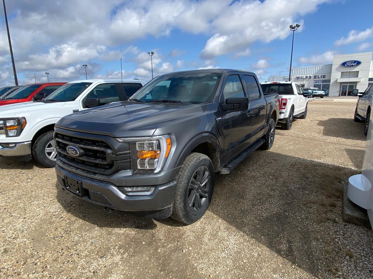2023 Ford F-150 XLT 4WD SUPERCREW 5.5' BOX