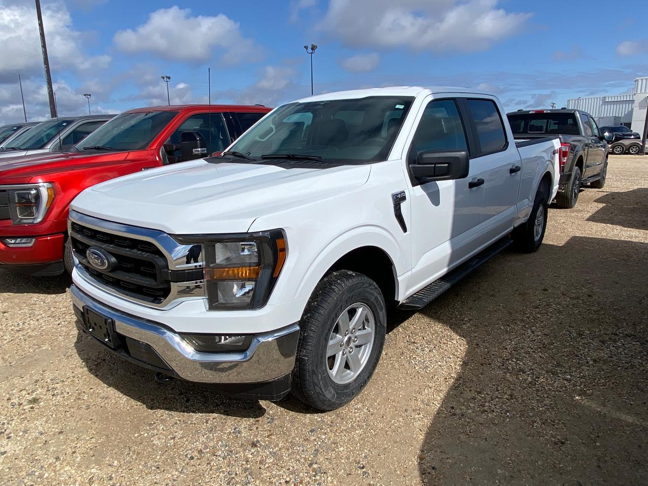 New 2023 Ford F-150 XLT 4WD SUPERCREW 6.5' BOX for sale in Elie, MB