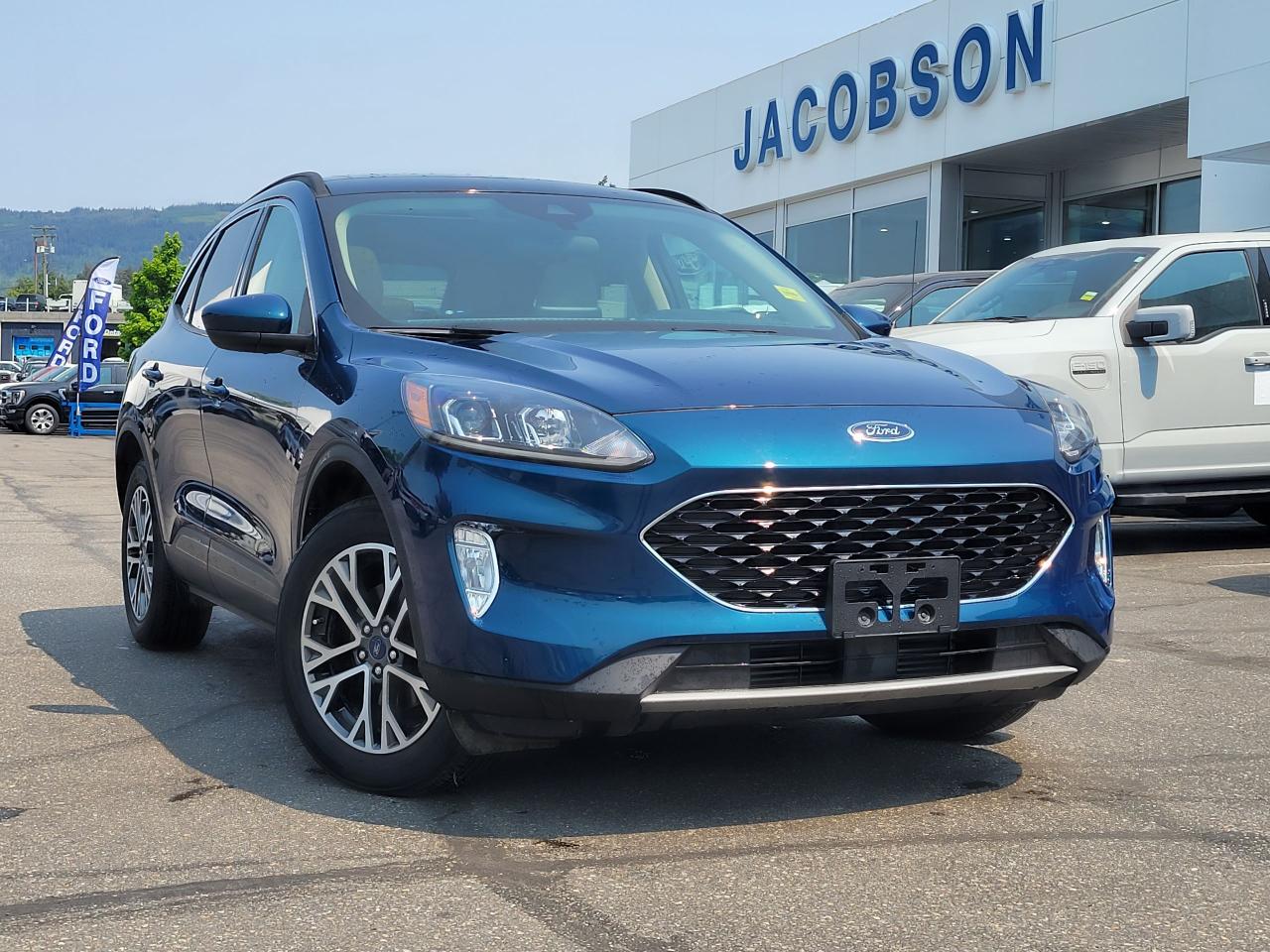 2020 Ford Escape SEL Photo0