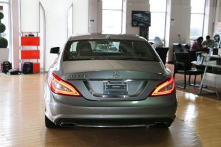 2014 Mercedes-Benz CLS-Class 4MATIC - DISTRONIC|MASSAGE|BLINDSPOT|NAVI|CAMERA - Photo #4