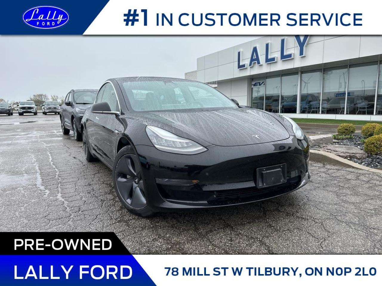 Used 2020 Tesla Model 3 Standard Range Plus, Roof, Nav, Mint! for sale in Tilbury, ON