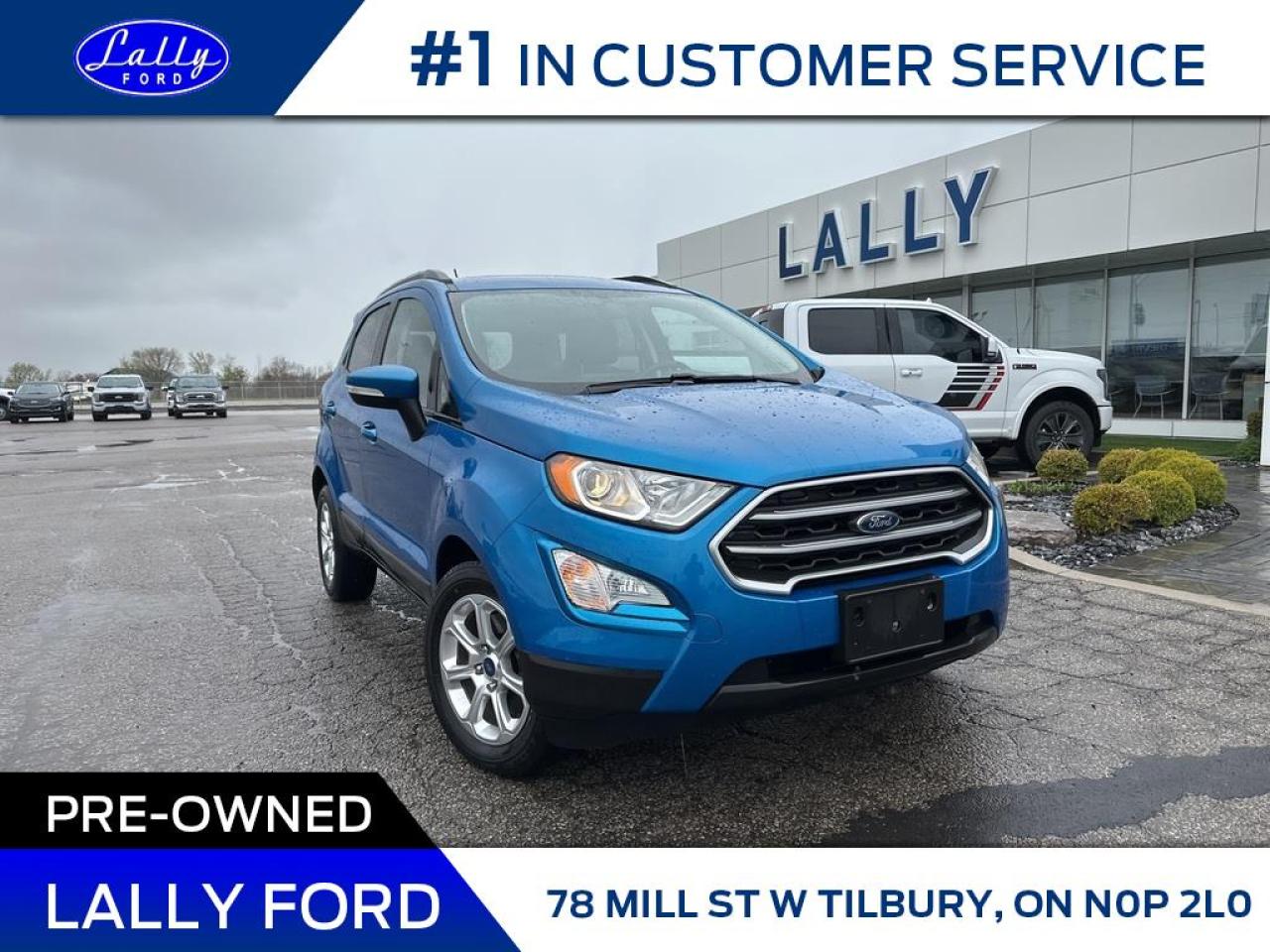 Used 2019 Ford EcoSport SE, Moonroof, Nav, Low Km’s!! for sale in Tilbury, ON
