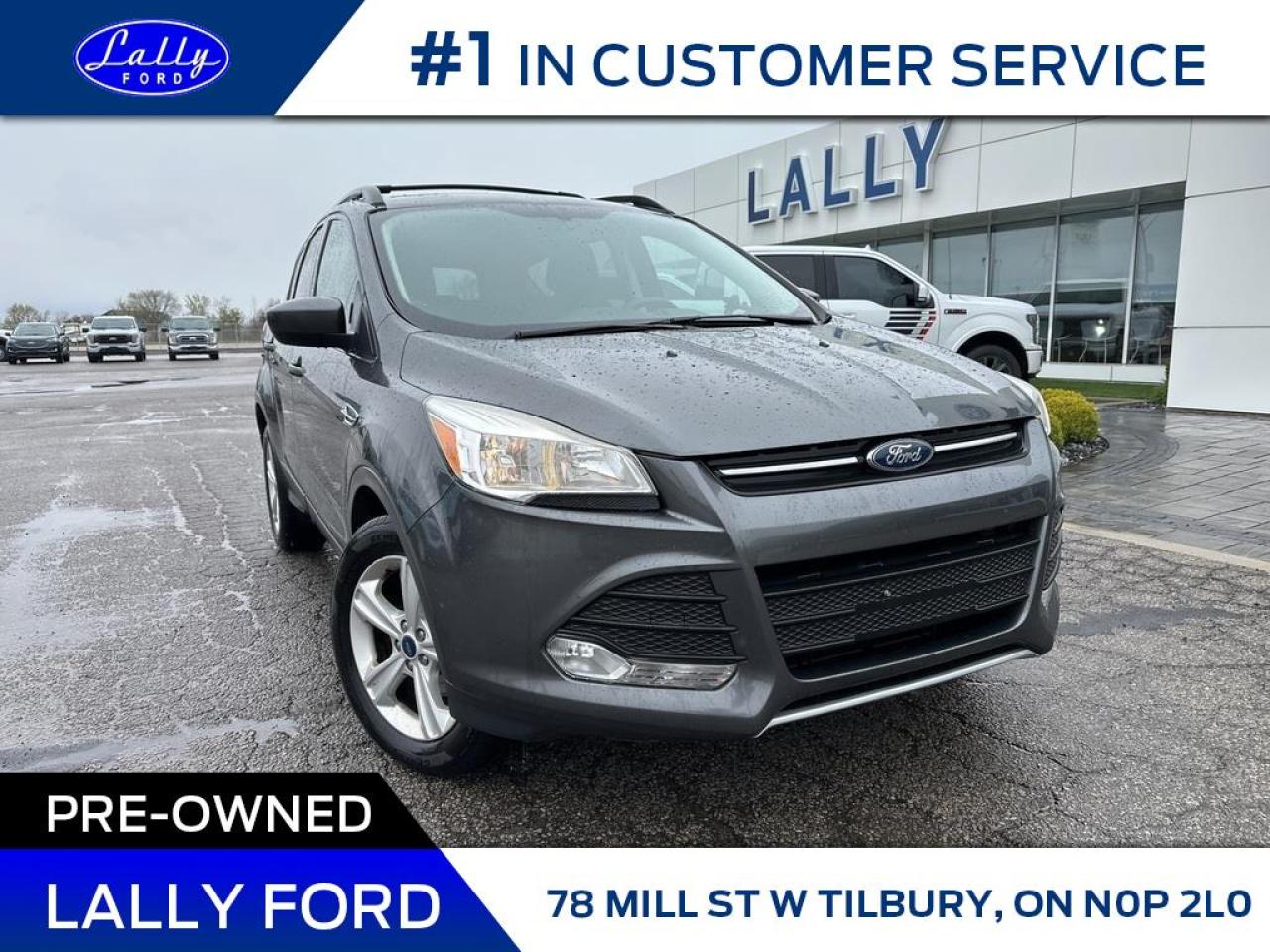 Used 2015 Ford Escape SE, Nav, Roof, Local Trade!! for sale in Tilbury, ON