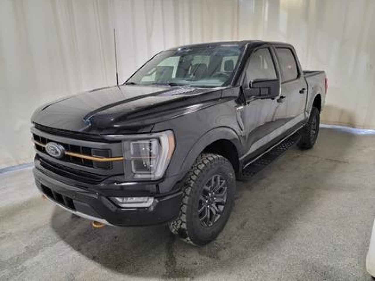 New 2023 Ford F-150 TREMOR 402A W/POWER TAILGATE & TAILGATE STEP for sale in Regina, SK
