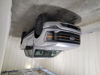 New 2023 Ford F-150 TREMOR 401A W/TWIN PANEL MOONROOF for sale in Regina, SK