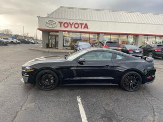 Used 2019 Ford Mustang GT for sale in Cambridge, ON