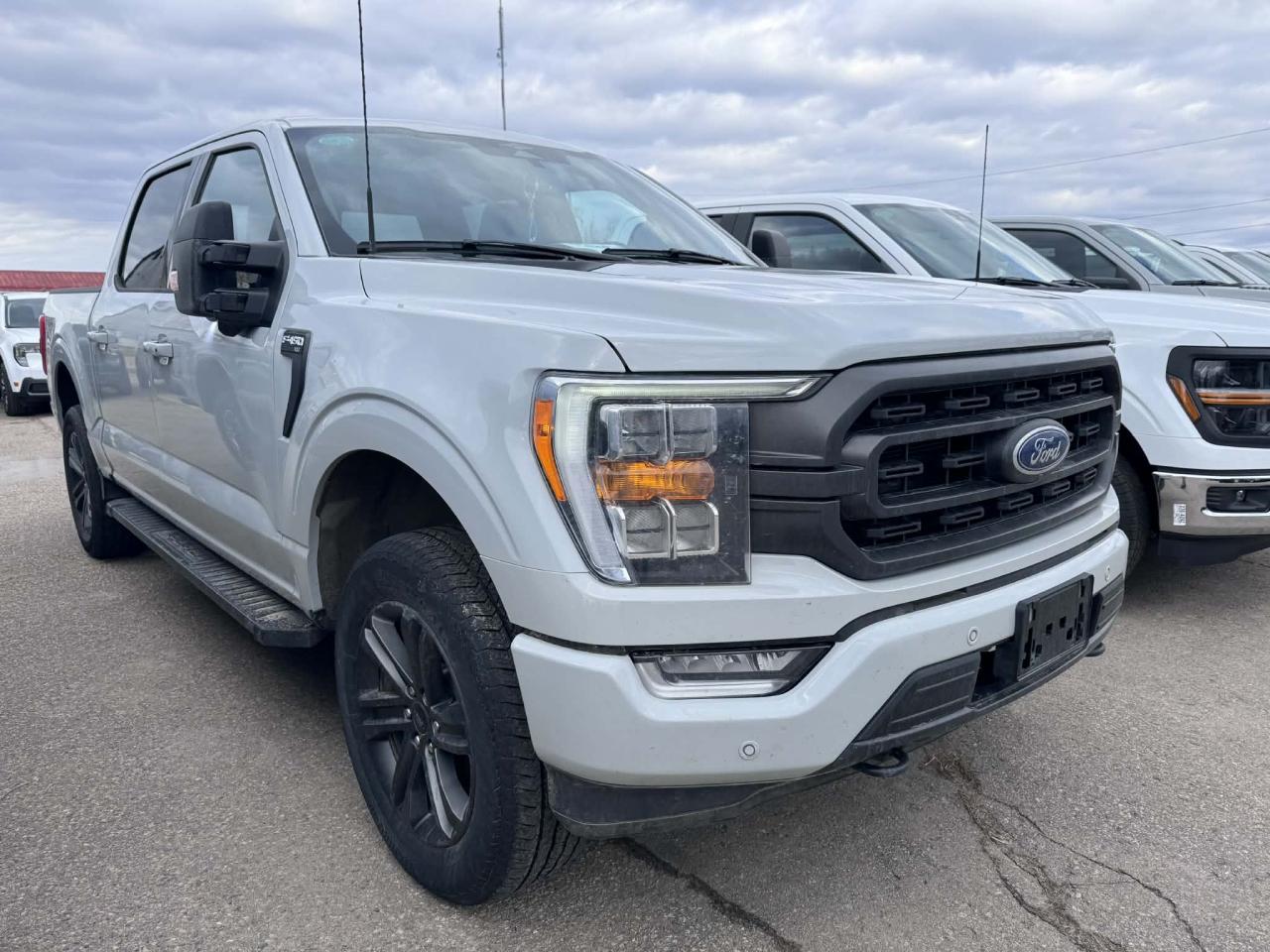 2023 Ford F-150 XLT Photo4