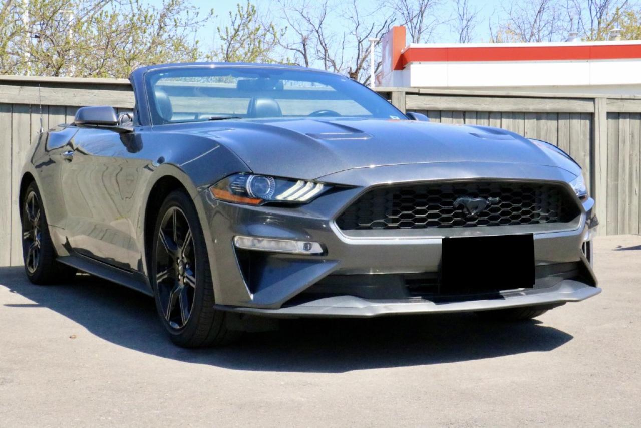 Used 2019 Ford Mustang ECOBOOST PREM | RWD | ANDRD/APPLE CAP | BUCAM for sale in Welland, ON