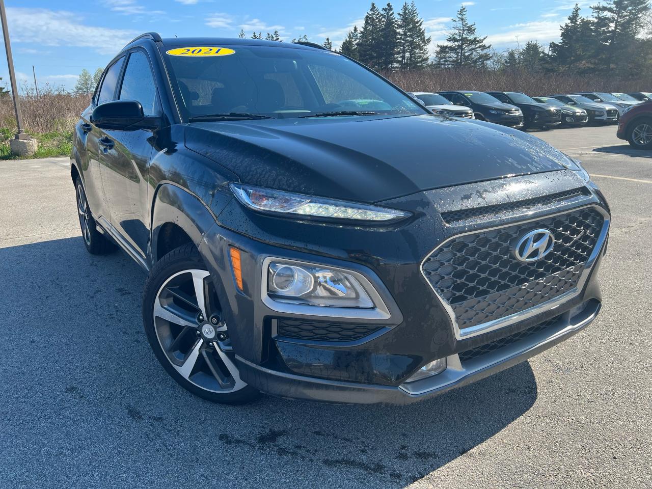 2021 Hyundai KONA TREND AWD Photo1