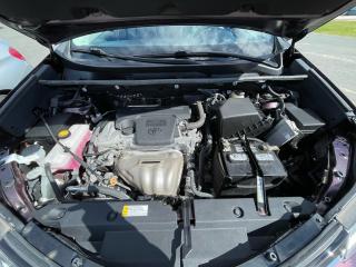 2017 Toyota RAV4 LIMITED  - Photo #19
