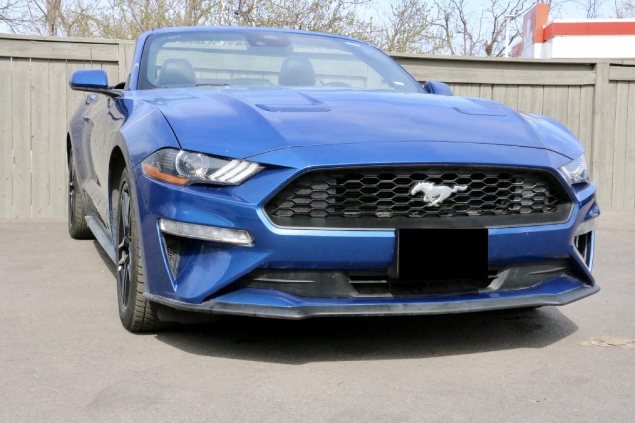 Used 2022 Ford Mustang ECOBOOST PREMIUM | RWD | COLL ASSIST | APPLE/ANDRD for sale in Welland, ON