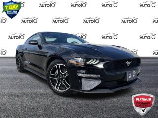 Used 2022 Ford Mustang EcoBoost MANUAL TRANSMISSION | ALLOYS | REAR CAMERA | CLOTH BUCKETS | for sale in Barrie, ON