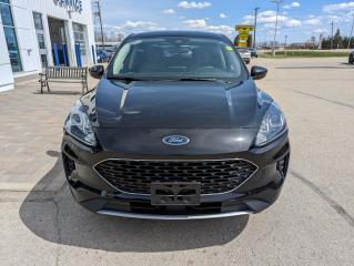 2020 Ford Escape SE Photo