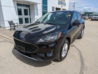 2020 Ford Escape SE Photo