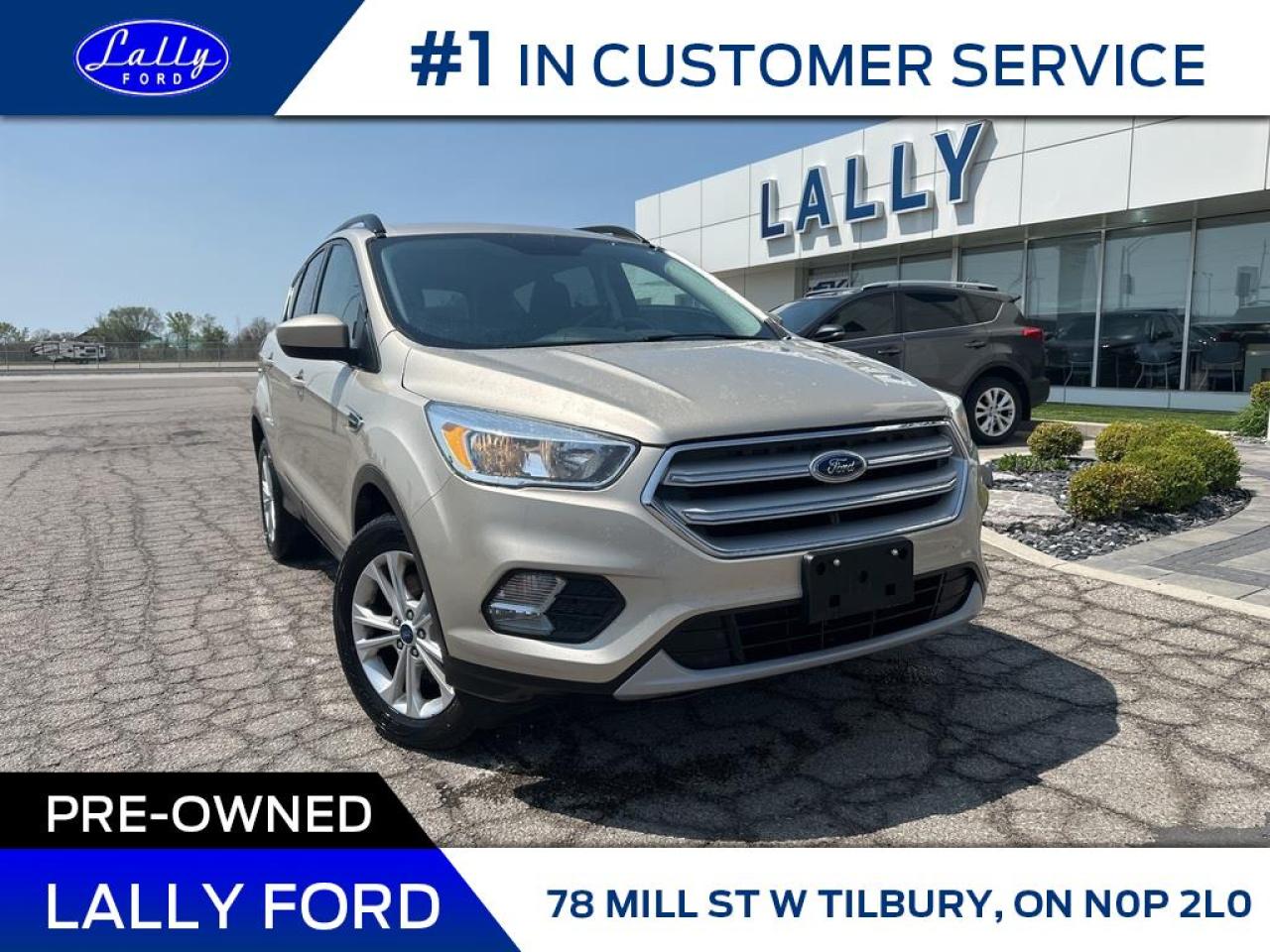 Used 2018 Ford Escape SE, AWD, Mint, Local Trade! for sale in Tilbury, ON