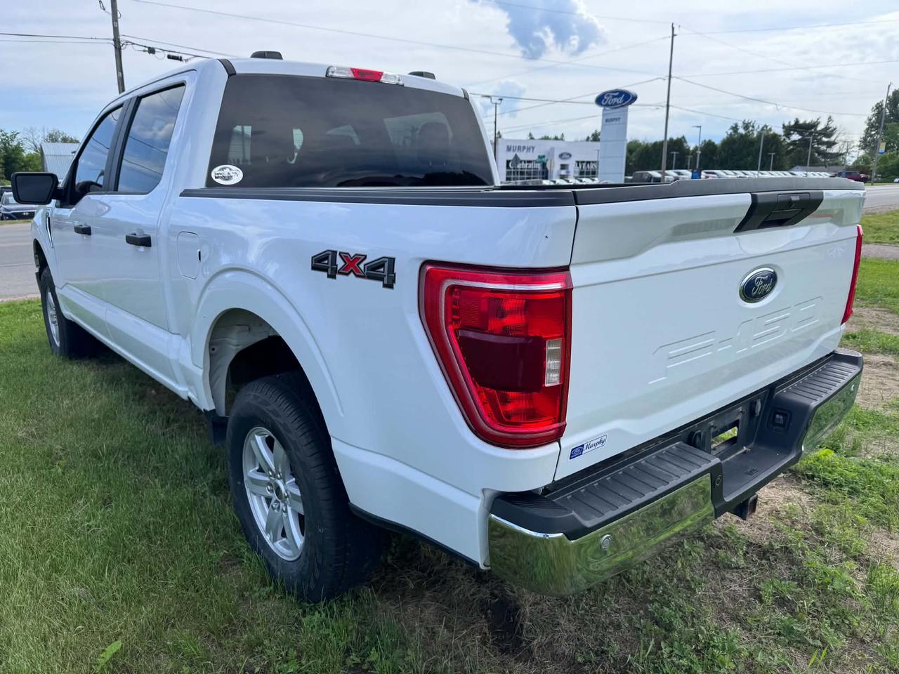 2023 Ford F-150 XLT Photo