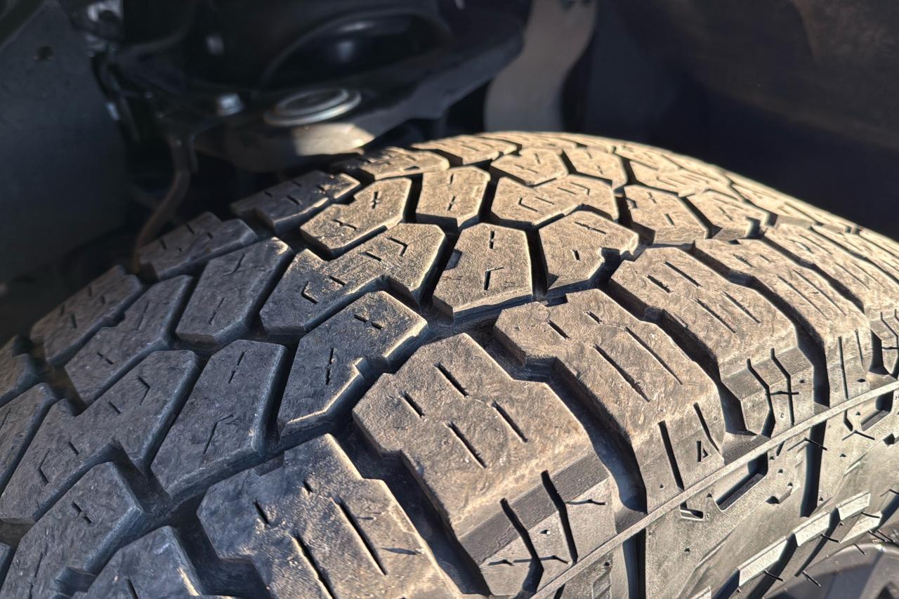 2023 Toyota Tundra Platinum Photo