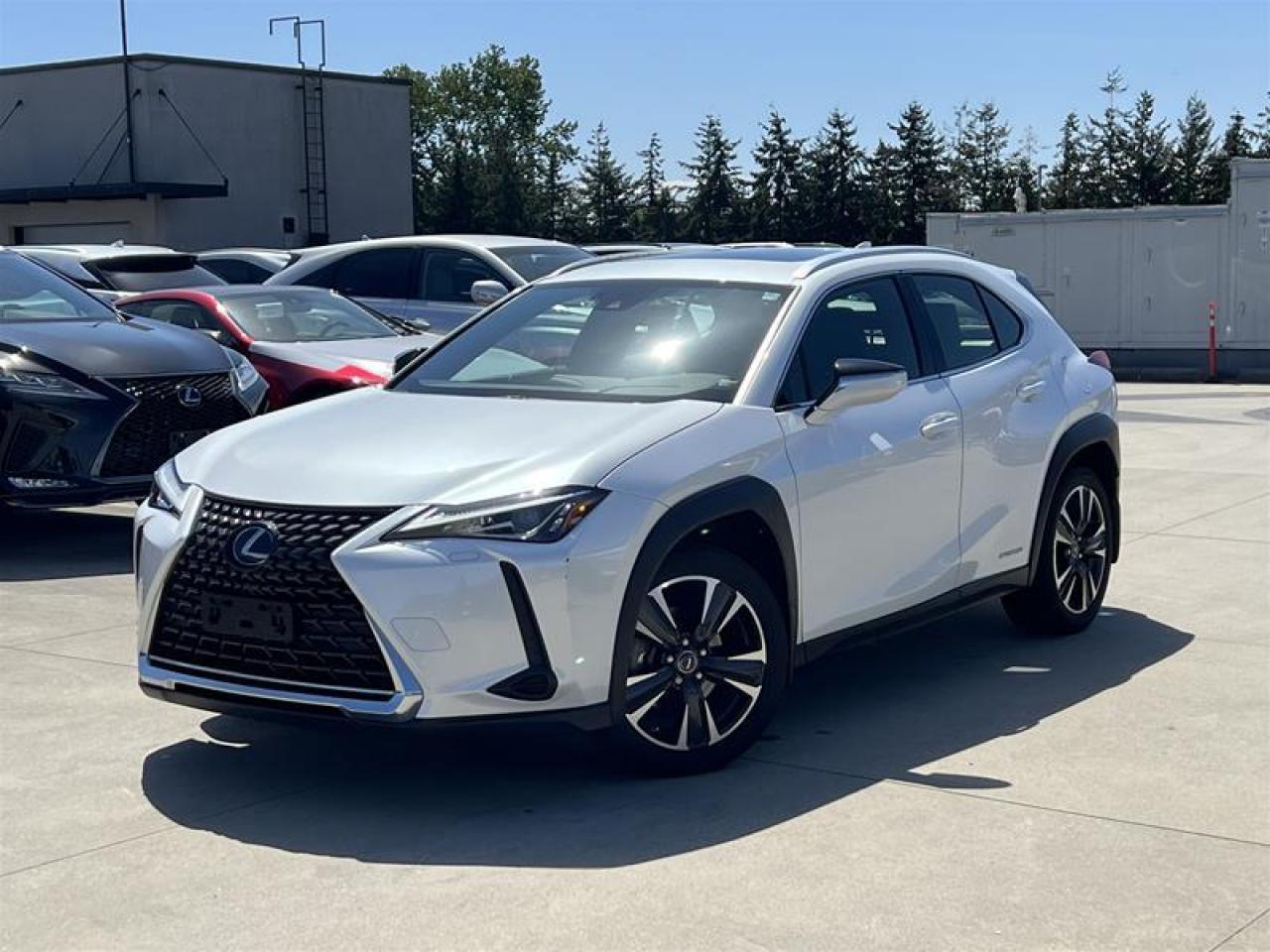 Used 2020 Lexus UX 250H AWD for sale in Richmond, BC