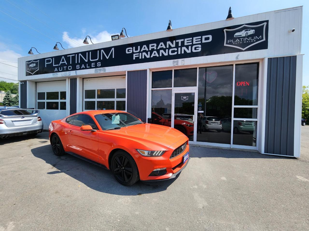 Used 2015 Ford Mustang EcoBoost for sale in Kingston, ON