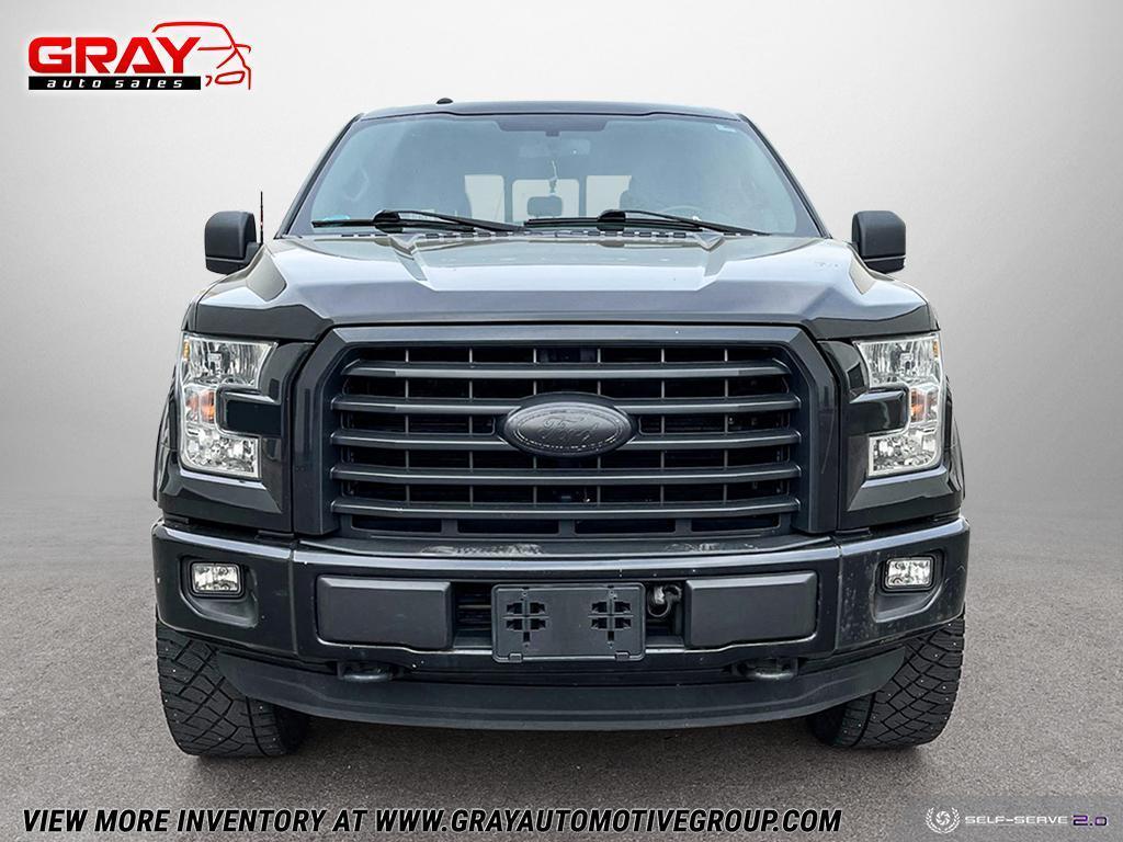 2015 Ford F-150 4WD SUPERCREW 145" XLT - Photo #7