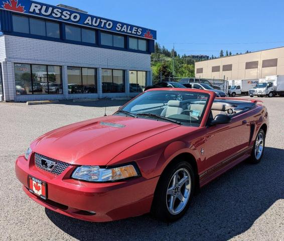 2001 Ford Mustang Low Km Convertible