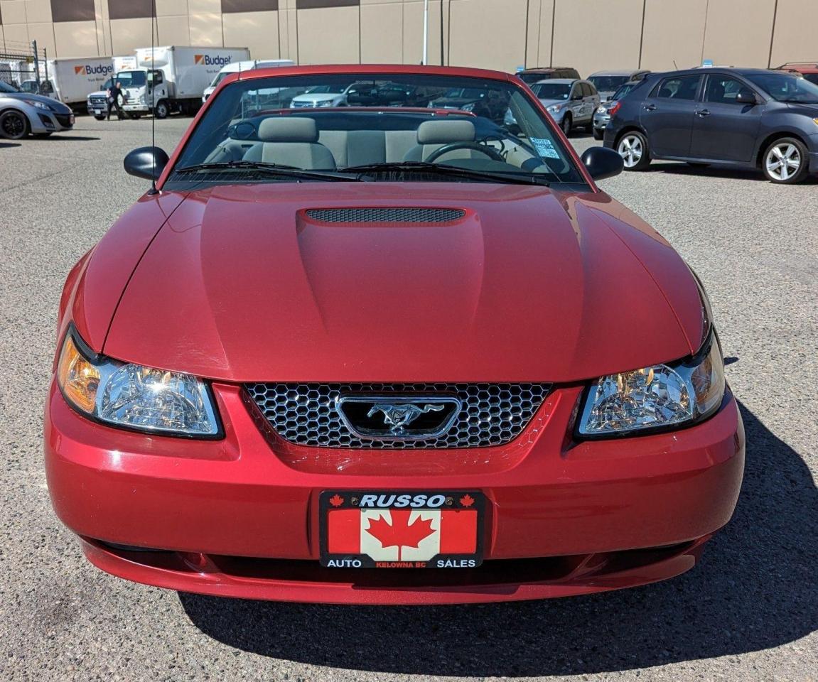 2001 Ford Mustang Convertible, Only 108,000 Kms - Photo #2