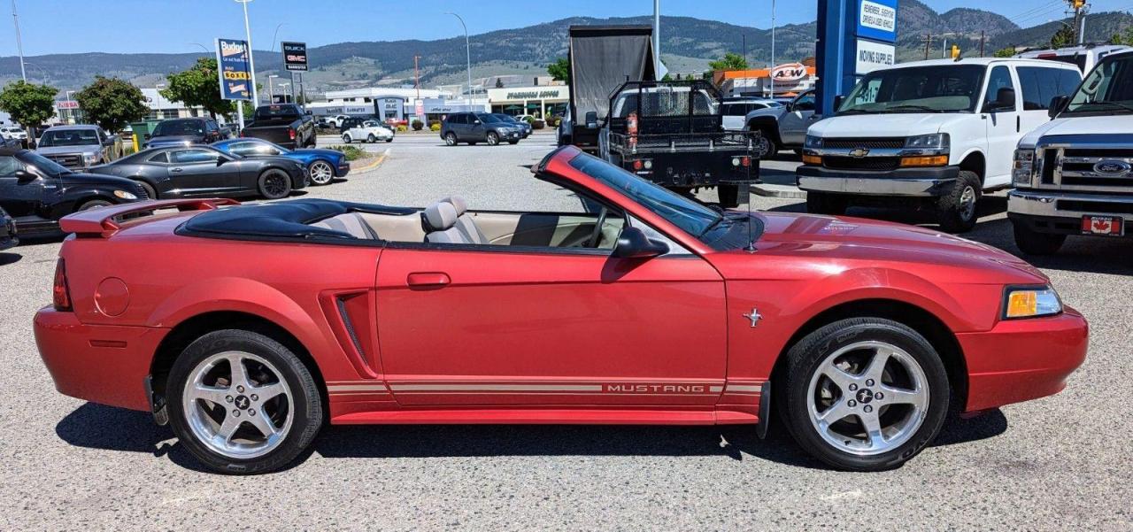 2001 Ford Mustang Convertible, Only 108,000 Kms - Photo #4