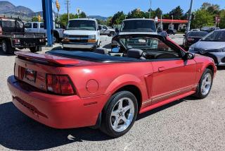 2001 Ford Mustang Convertible, Only 108,000 Kms - Photo #5