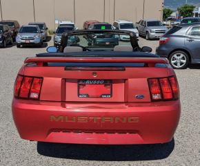 2001 Ford Mustang Convertible, Only 108,000 Kms - Photo #6