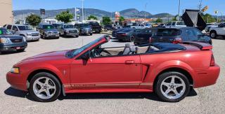 2001 Ford Mustang Convertible, Only 108,000 Kms - Photo #8